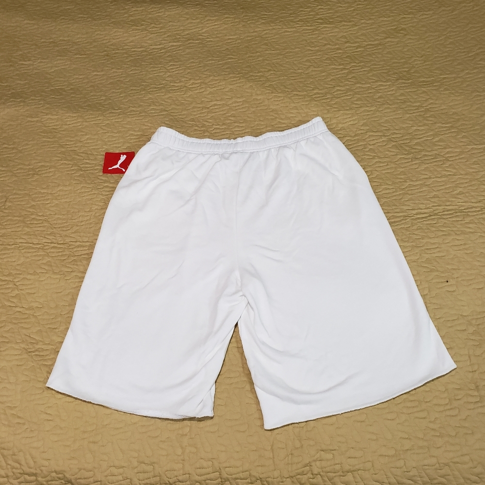 Puma Hero Sweat Shorts Size L - Picture 2 of 5